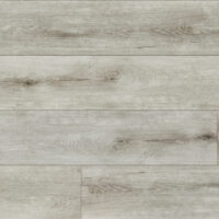 SPC-2301830-006-Beach