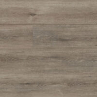 SPC-2301830-007-Calm