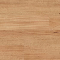 SPC-2301830-021-Blackbutt