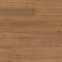 SPC-2301830-023-Brushbox