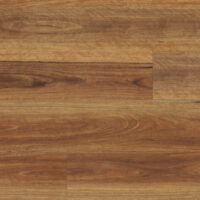 SPC-2301830-026-Spotted-Gum