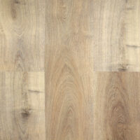 Staten-Island-Hydroplank