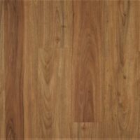 Loose-Lay-Shortboard-SF-6872-NSW-Spotted-Gum