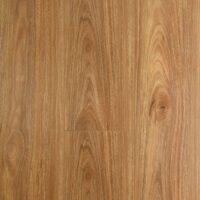 Spotted-Gum-Oakleaf-min-1200x1200